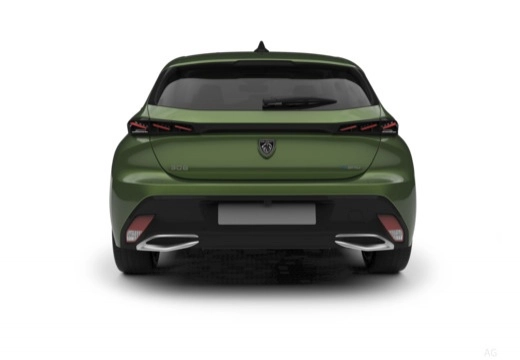 Immagine 7 Peugeot 308