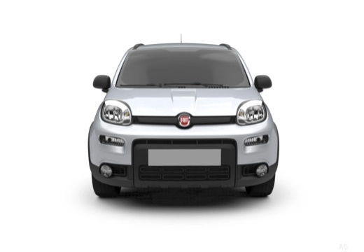 Immagine 5 Fiat Panda