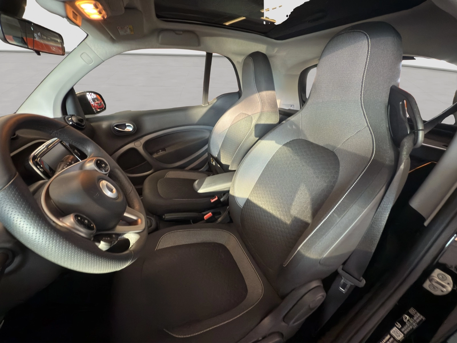 Immagine 10 Smart Fortwo