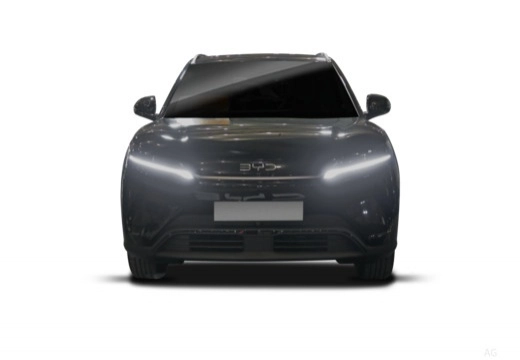 Foto 4 BYD Atto 2