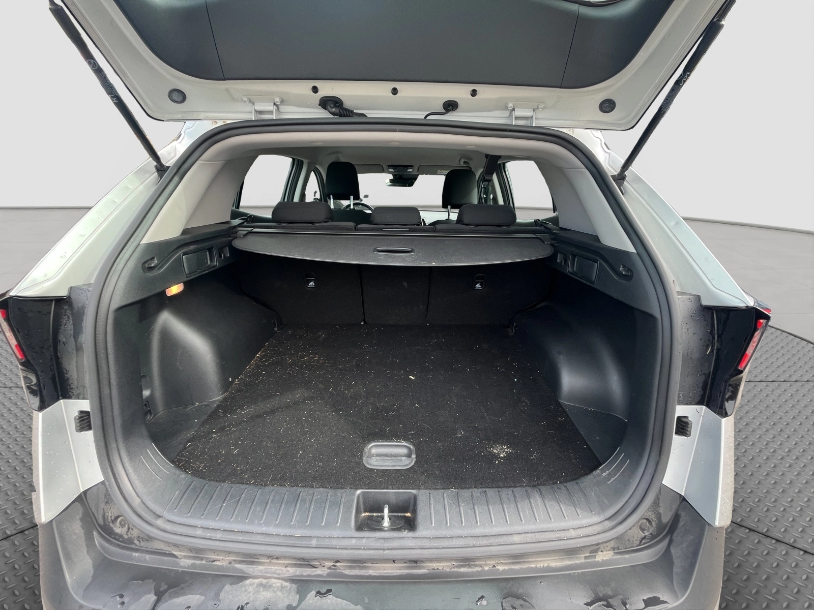 Immagine 11 Kia Sportage