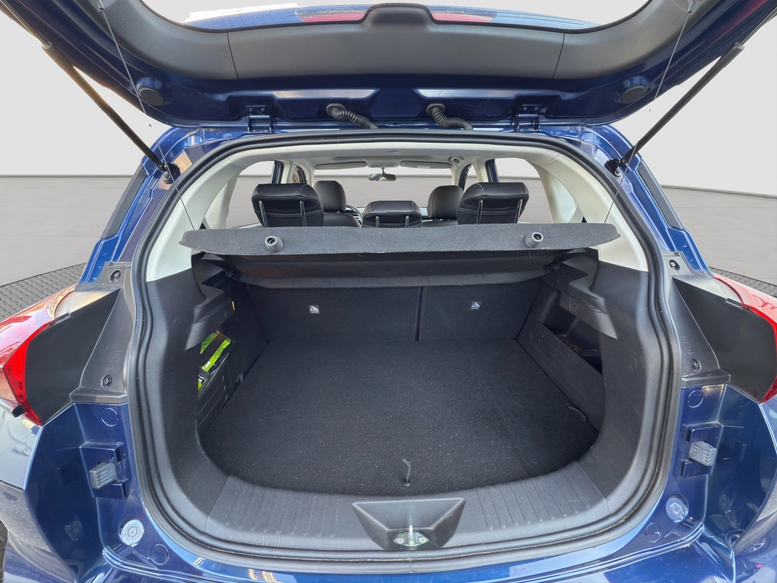 Immagine 12 Evo Evo 5