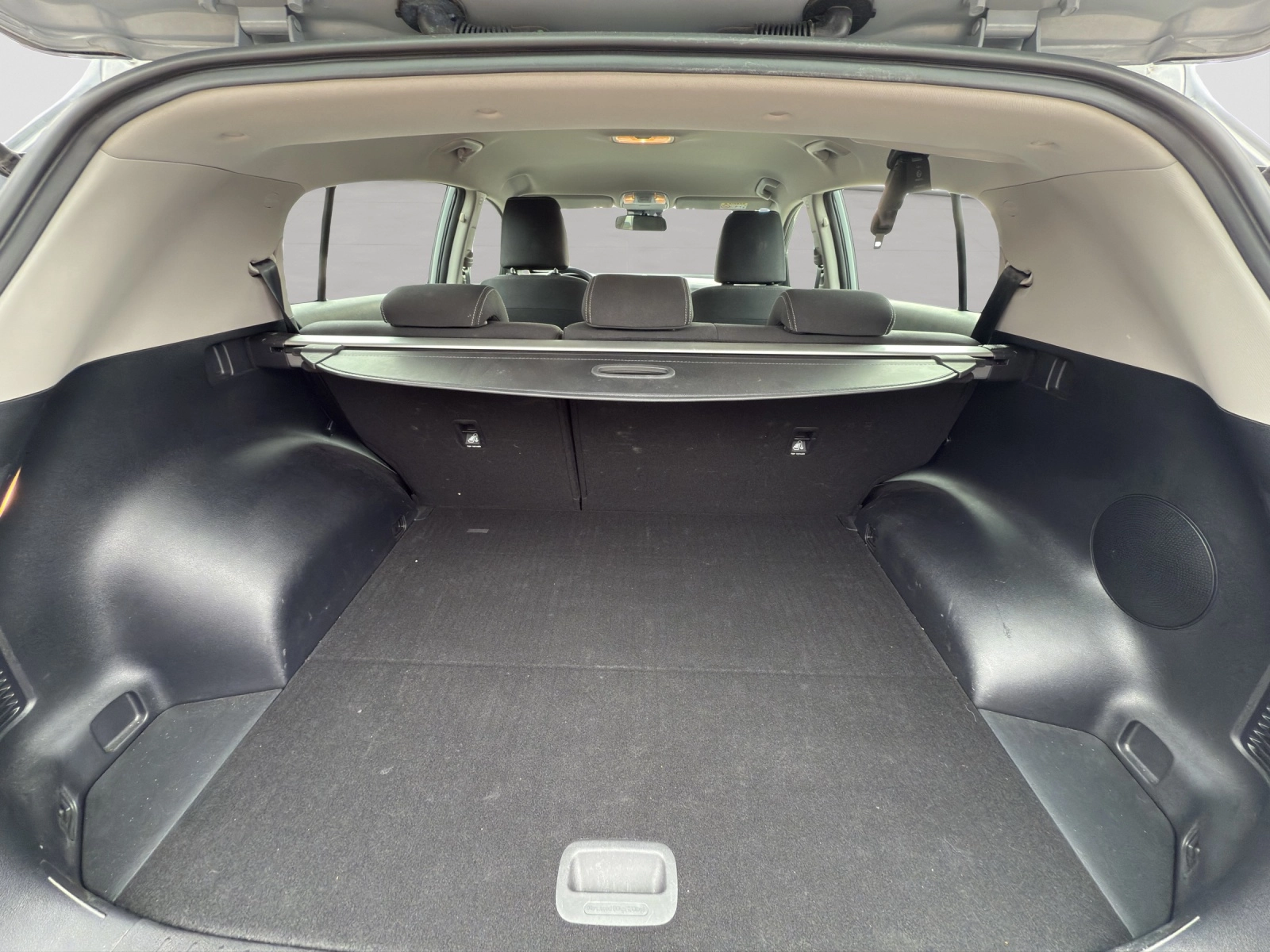 Immagine 11 Kia Sportage