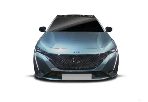 Immagine 9 Peugeot 308 SW