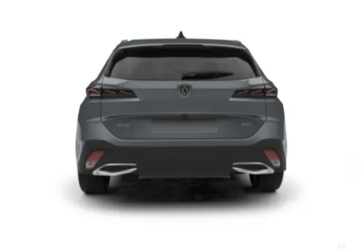 Immagine 10 Peugeot 308 SW