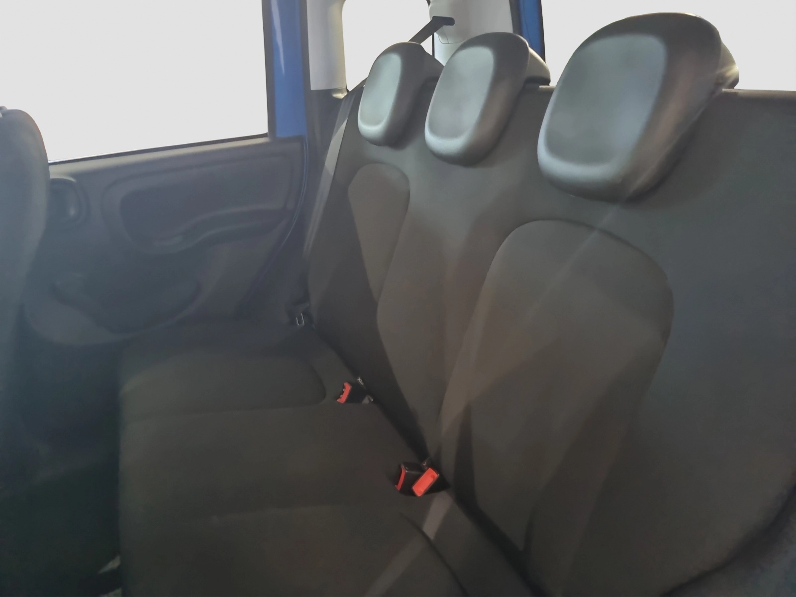 Immagine 10 Fiat Panda Cross