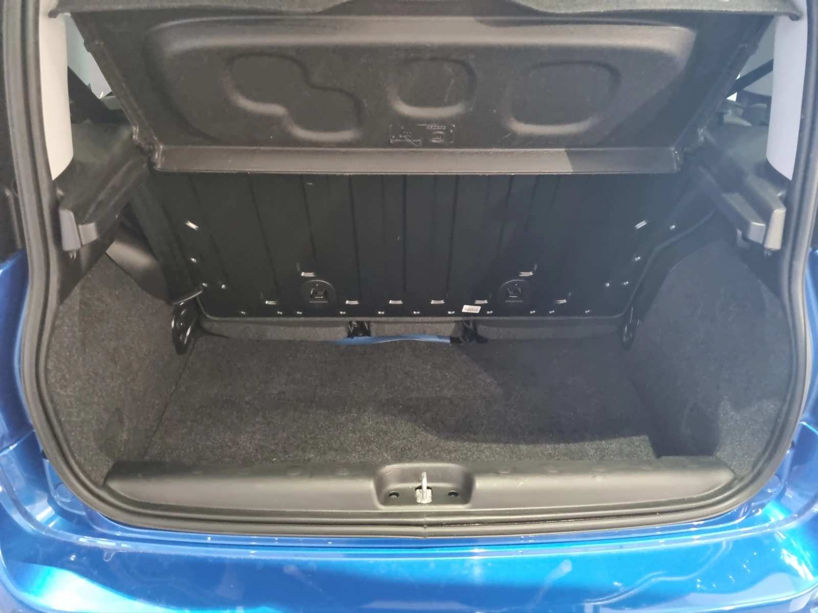 Immagine 11 Fiat Panda Cross