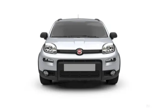 Immagine 9 Fiat Panda