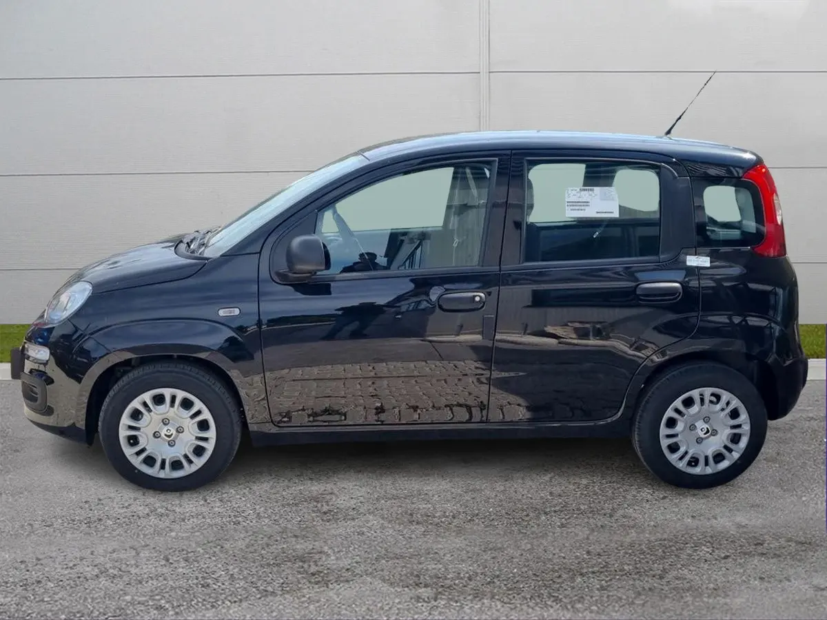 Foto 3 Fiat Panda