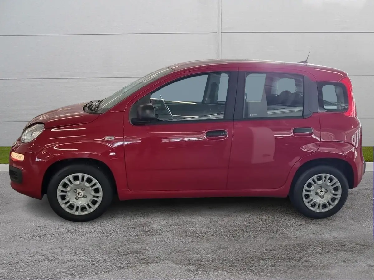Foto 3 Fiat Panda