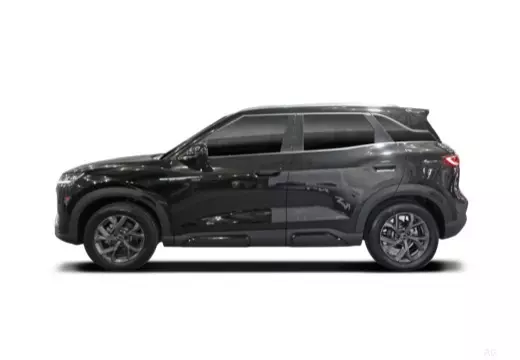 Immagine 6 BYD Atto 2