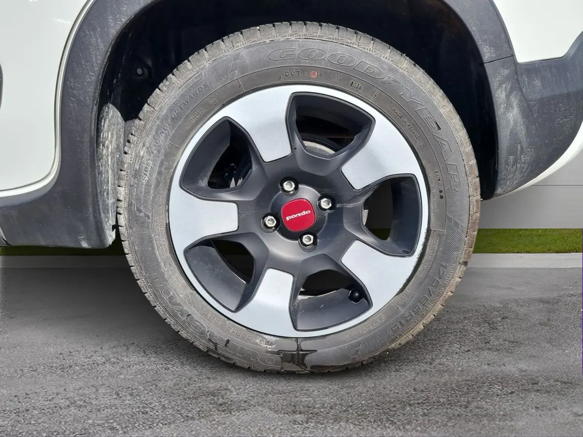 Immagine 8 Fiat Panda Cross