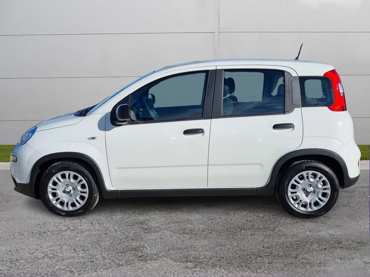 Foto 3 Fiat Panda