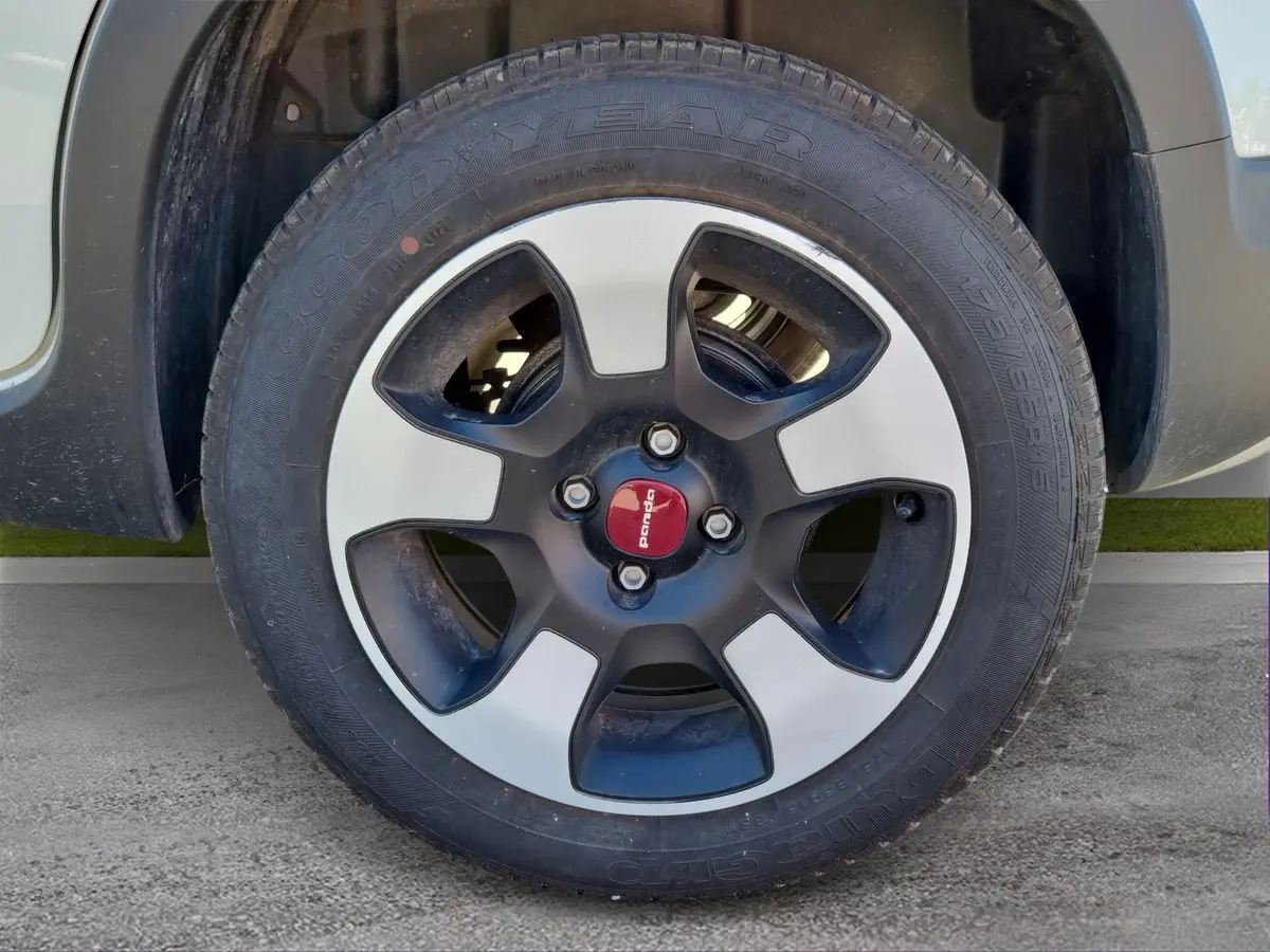 Immagine 8 Fiat Panda Cross