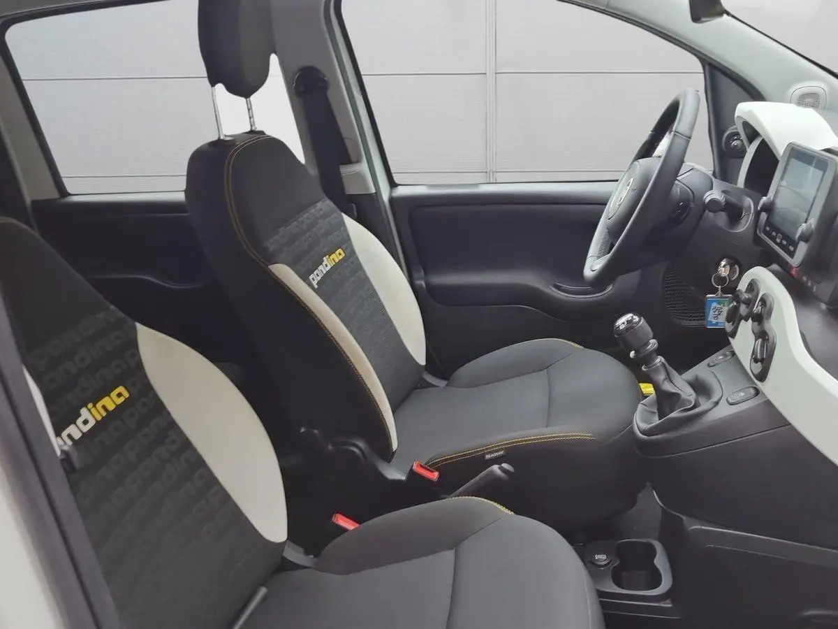 Immagine 6 Fiat Panda