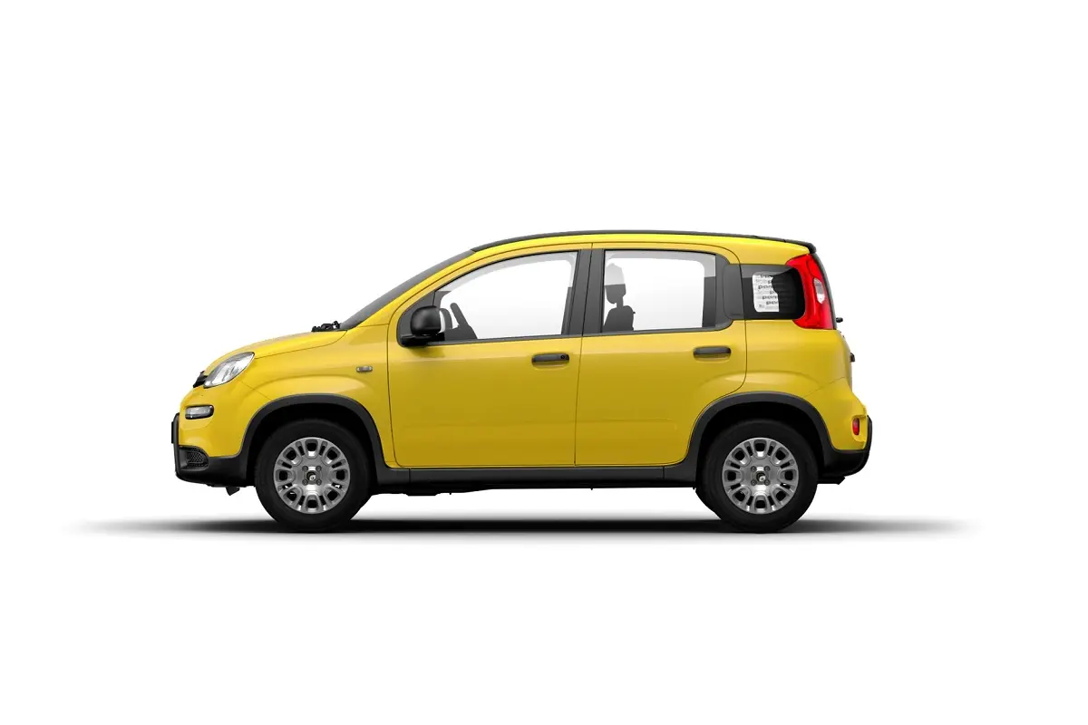 Foto 2 Fiat Pandina