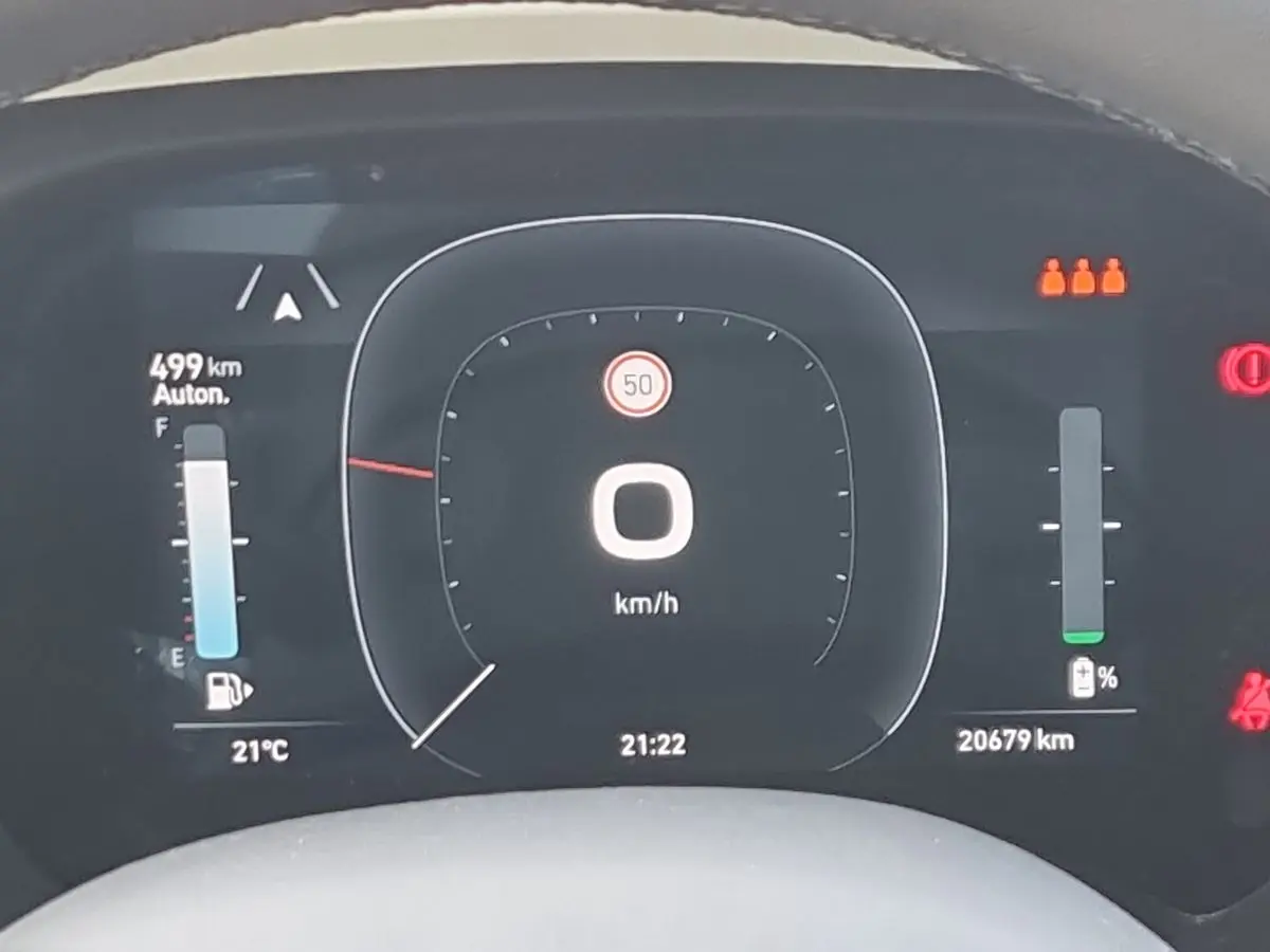 Immagine 12 Fiat Pandina