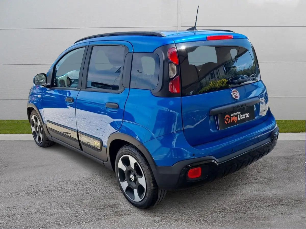 Immagine 5 Fiat Pandina