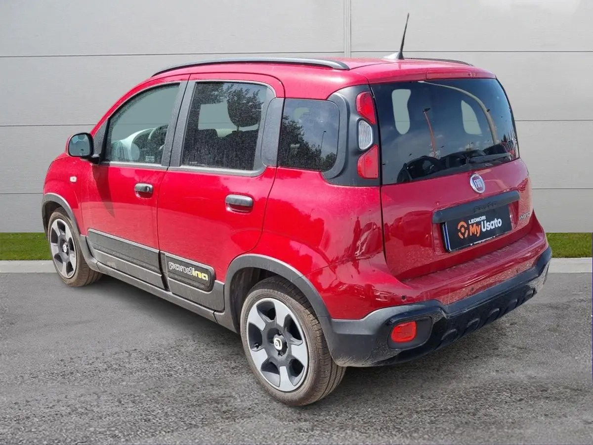 Immagine 5 Fiat Pandina
