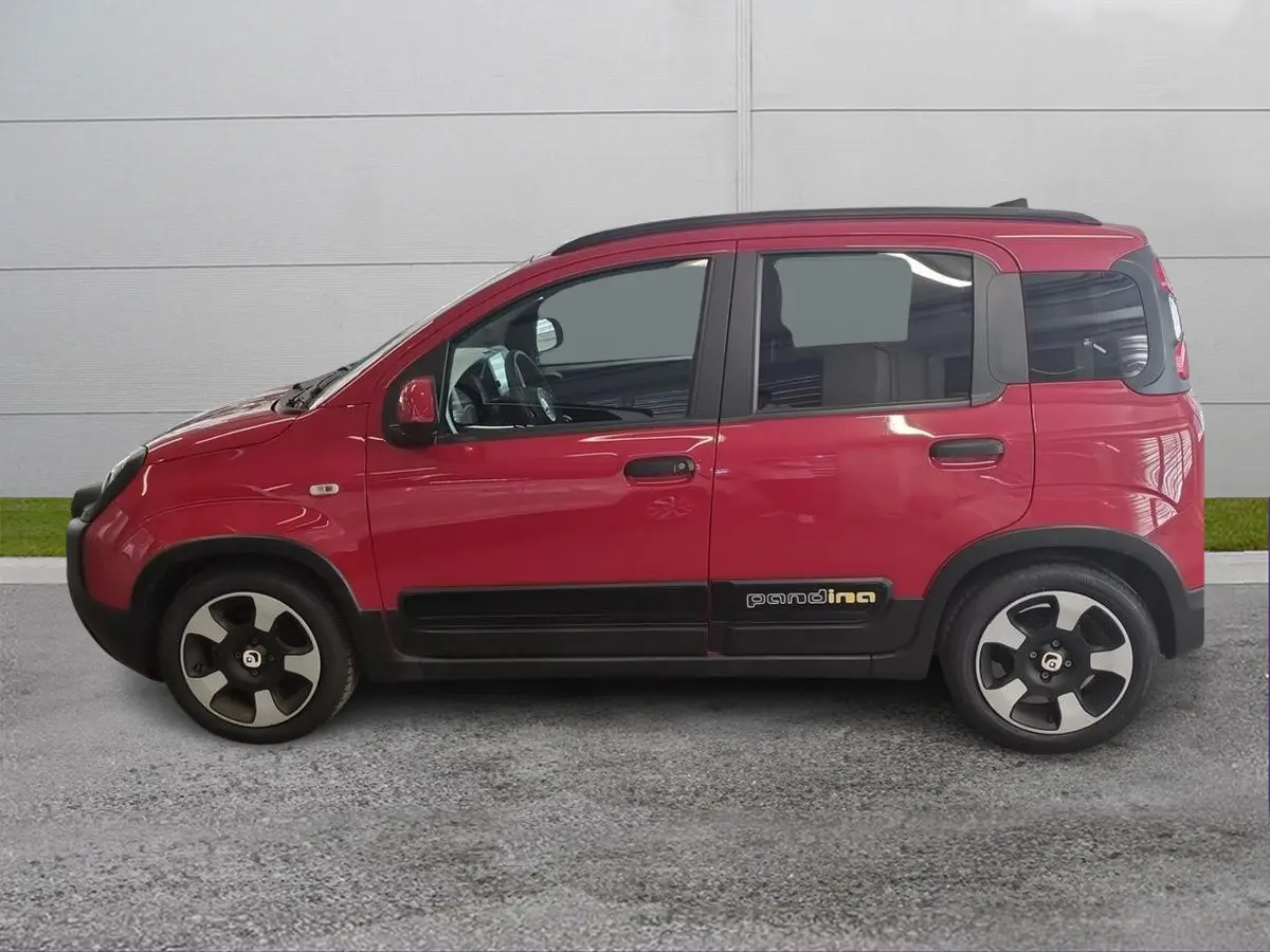 Foto 3 Fiat Pandina