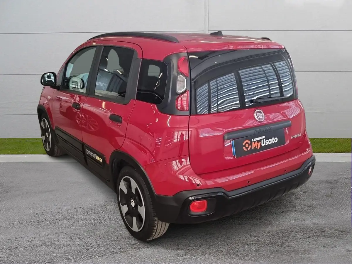 Immagine 5 Fiat Pandina