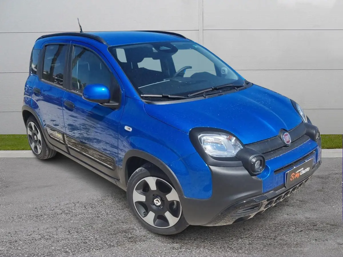 Foto 1 Fiat Pandina