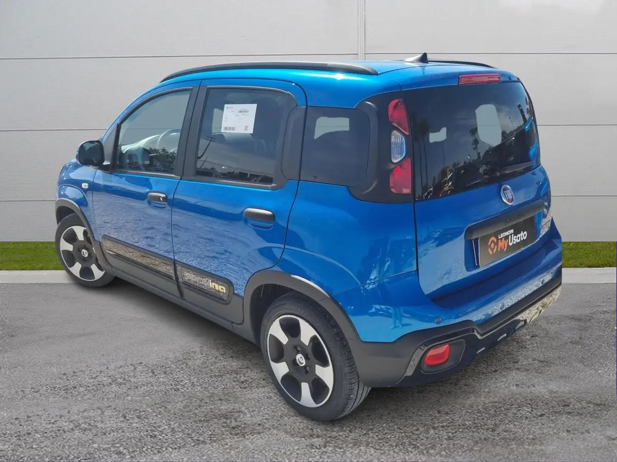 Immagine 5 Fiat Pandina