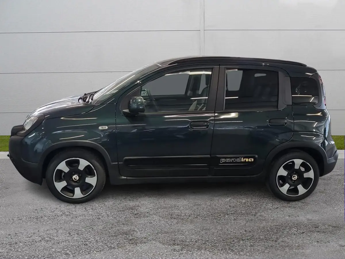 Foto 3 Fiat Pandina