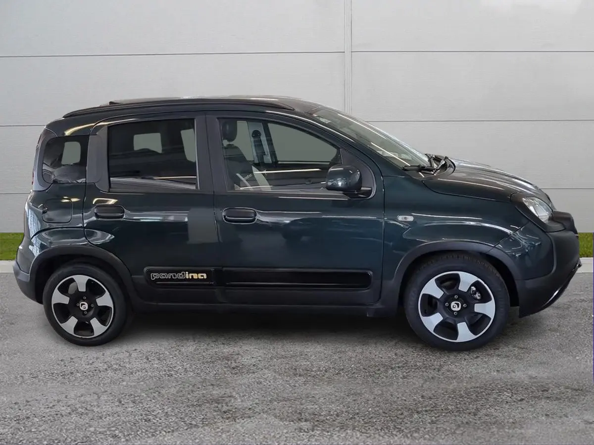 Foto 4 Fiat Pandina