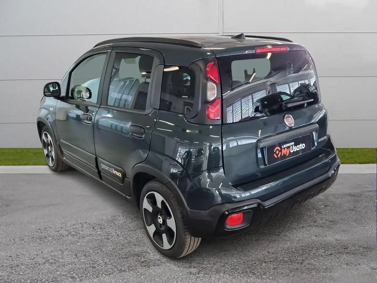 Immagine 5 Fiat Pandina