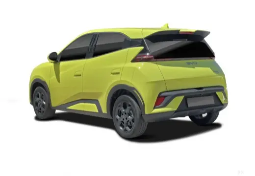 Immagine 7 BYD Dolphin