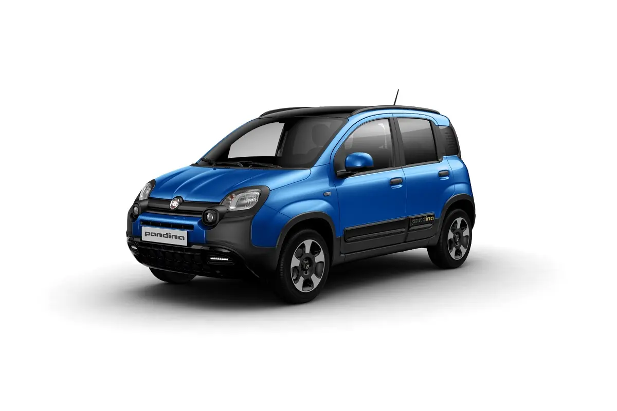 Foto 1 Fiat Pandina
