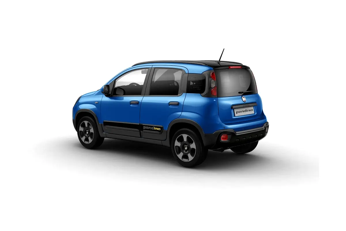 Foto 3 Fiat Pandina