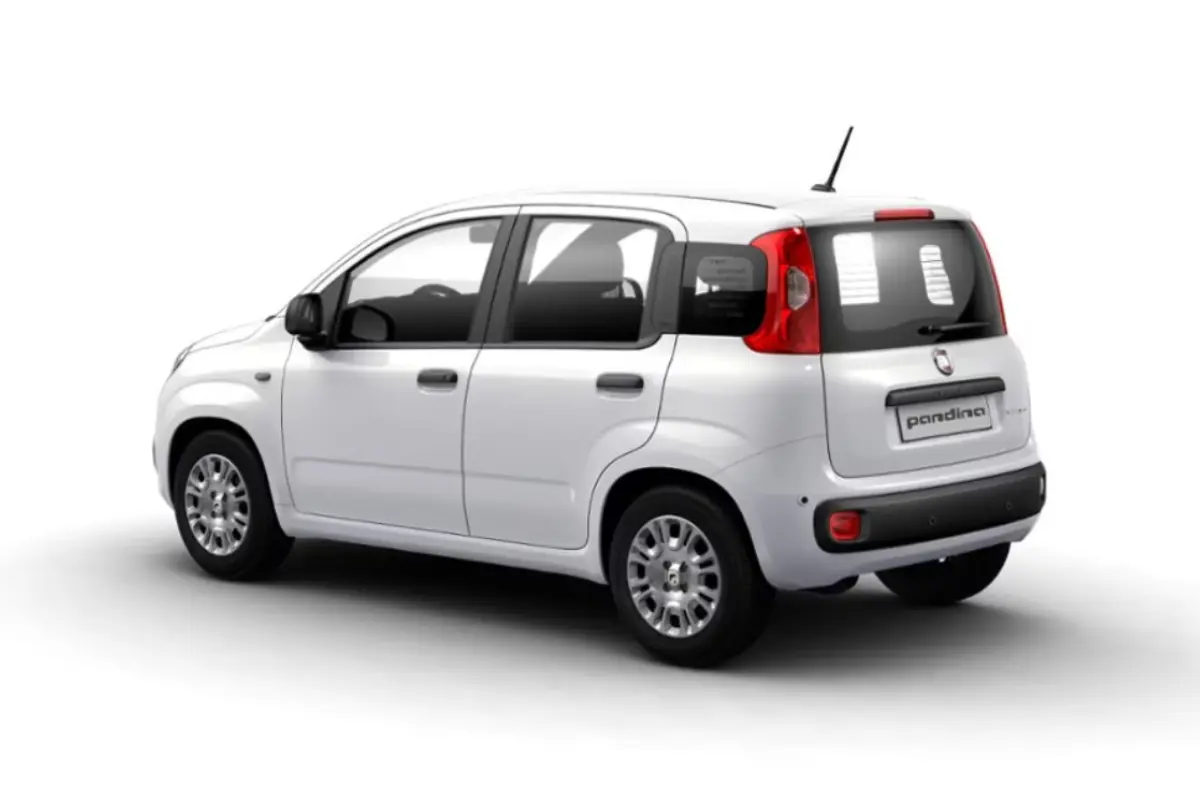 Foto 3 Fiat Pandina