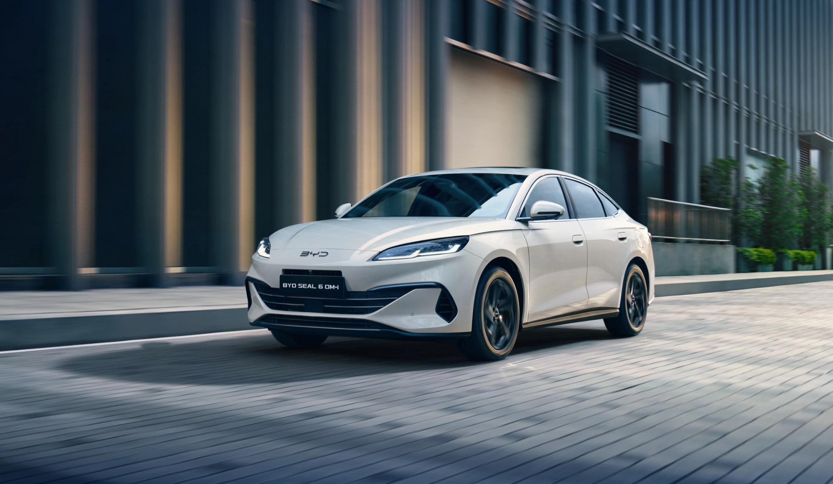 Immagine per Estetica