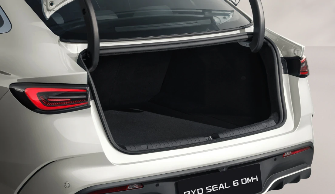 Immagine per Bagagliaio