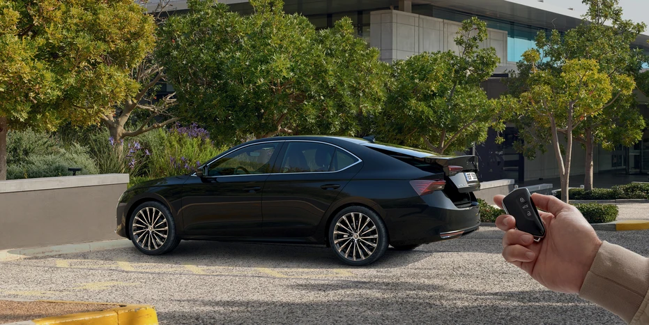 Immagine per Abitacolo e bagagliaio