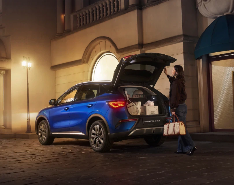 Immagine per BYD BLADE BATTERY