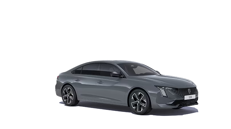 Immagine per Scopri 508 Berlina