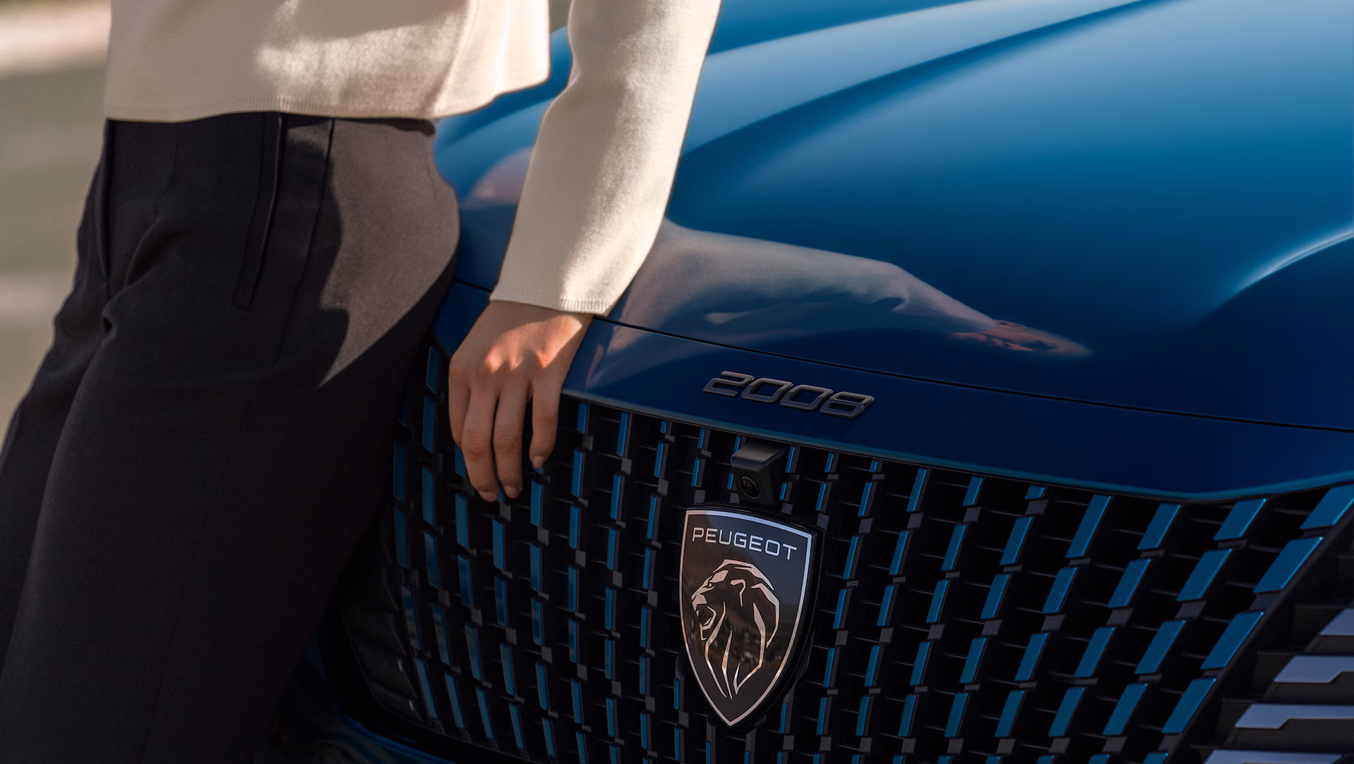 Immagine per Dettagli